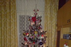 Wasze bożonarodzeniowe drzewka – zobacz zdjęcia 