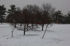 Waszyngton pod śniegiem, a miała być już wiosna