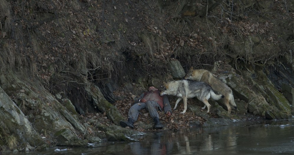 "Wataha" /Krzysztof Wiktor /HBO