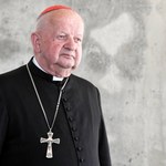Wątpliwości wobec oświadczenia kardynała Stanisława Dziwisza