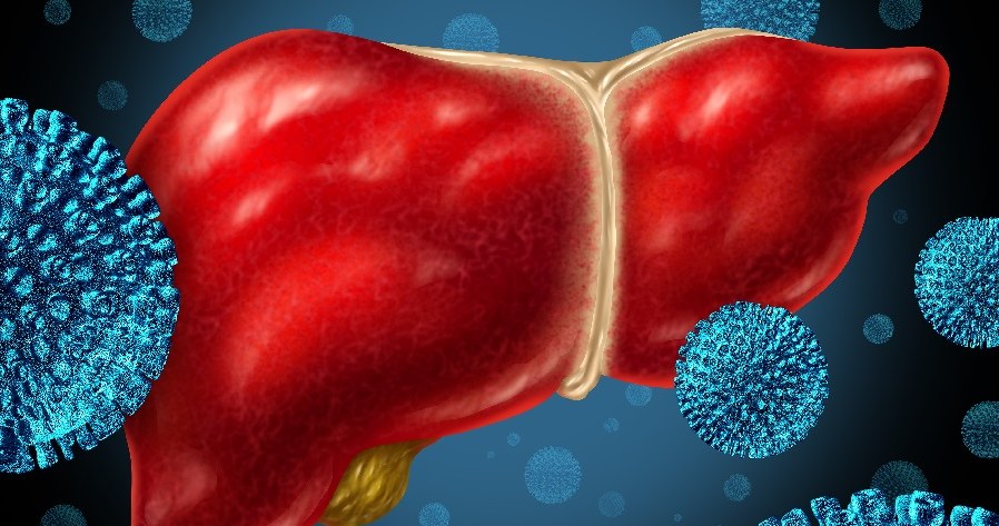 Wątroba narażona jest na wirusy /© Photogenica
