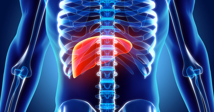 Wątroba, podobnie jak cały organizm, poważnie cierpi wskutek niewłaściwej diety /123RF/PICSEL