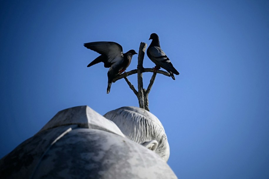 Watykan, 3 marca, pomnik Jana Pawła II przed kliniką Gemelli /FILIPPO MONTEFORTE/AFP/East News /East News