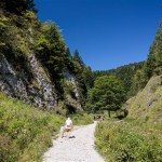 Wąwóz Szopczański wygląda jak z filmu. Idealny na wiosenną wycieczkę