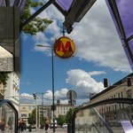 Wąż w warszawskim metrze. Gatunek jest niegroźny i pożyteczny