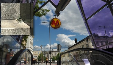 Wąż w warszawskim metrze. Gatunek jest niegroźny i pożyteczny
