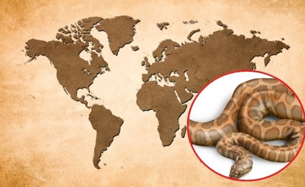 ​Wąż wędrowiec. Z Ameryki do Europy przez Grenlandię