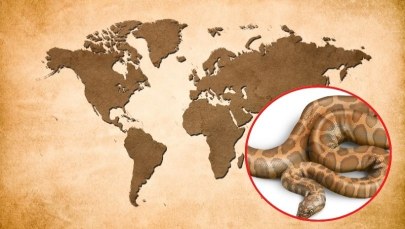 ​Wąż wędrowiec. Z Ameryki do Europy przez Grenlandię