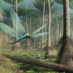 Ważka osiągnęła wielkość krogulca. Jak to jest w ogóle możliwe?