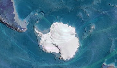 Ważne "archiwum" odkryte pod lodem Antarktydy. To może się wydarzyć