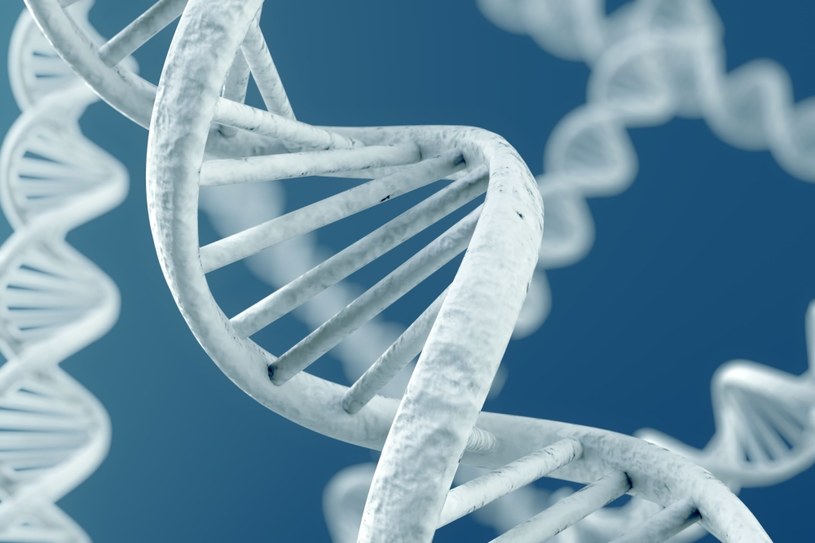 Ważne odkrycie dotyczące mutacji DNA /123RF/PICSEL