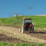 Ważne terminy dla rolników w lipcu. Sprawdź, do kiedy złożyć wniosek o dopłatę