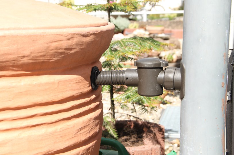 Wbrew pozorom, naziemny zbiornik na deszczówkę nie musi szpecić ogrodu. Wręcz przeciwnie, może się nawet stać jego ozdobą /123RF/PICSEL