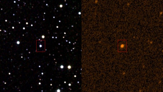 Wciąż nie wiadomo, co odpowiada za spadki jasności gwiazdy KIC-8462852 /materiały prasowe