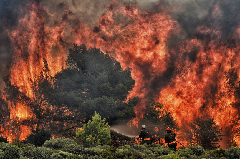 Wciąż rośnie liczba ofiar pożarów w Grecji /VALERIE GACHE /AFP