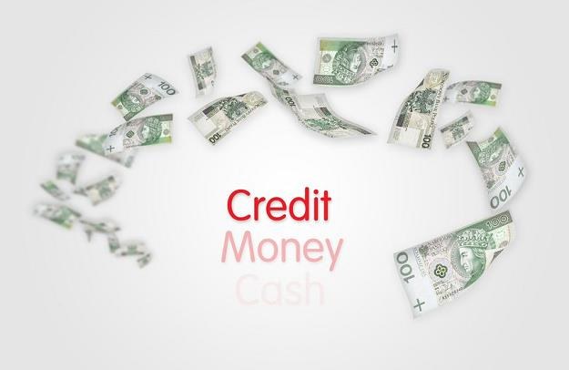 Wcześniejsza spłata kredytu nie zawsze się opłaca /&copy;123RF/PICSEL