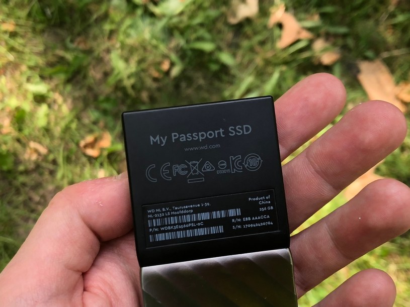 WD My Passport SSD 256 GB /INTERIA.PL