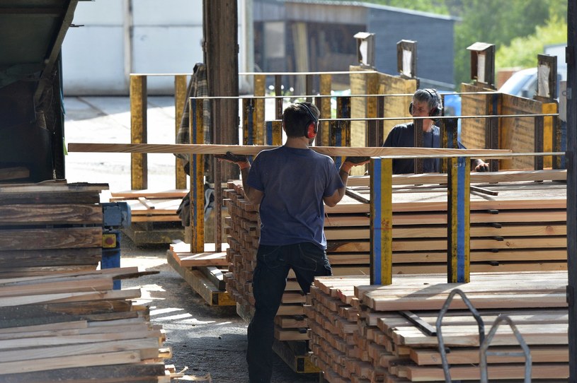 We Francji budynki publiczne powstaną w 50 proc. z drewna /AFP
