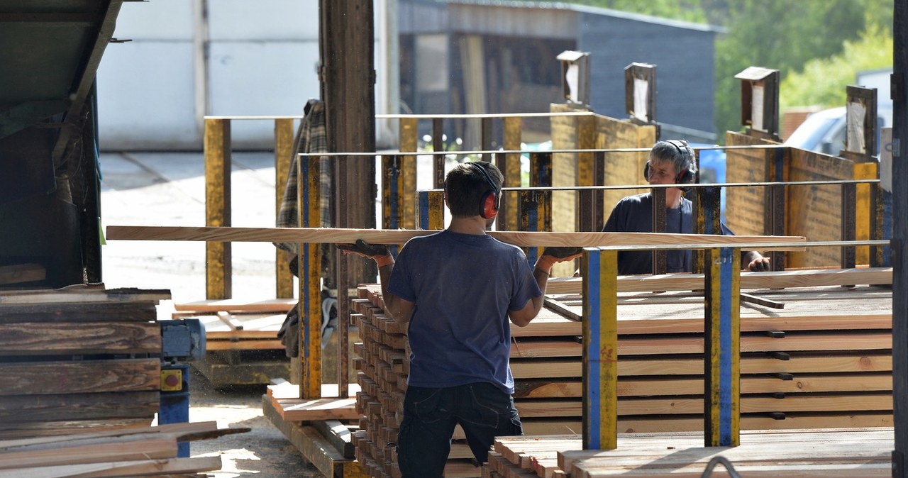 We Francji budynki publiczne powstaną w 50 proc. z drewna /AFP