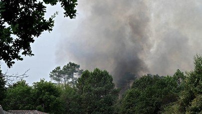 We Francji płoną tysiące hektarów lasów. Ewakuowano 500 osób