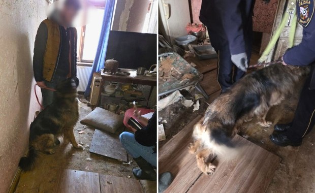 We własnych odchodach, bez dostępu do wody i pożywienia. Dramat we Wrocławiu