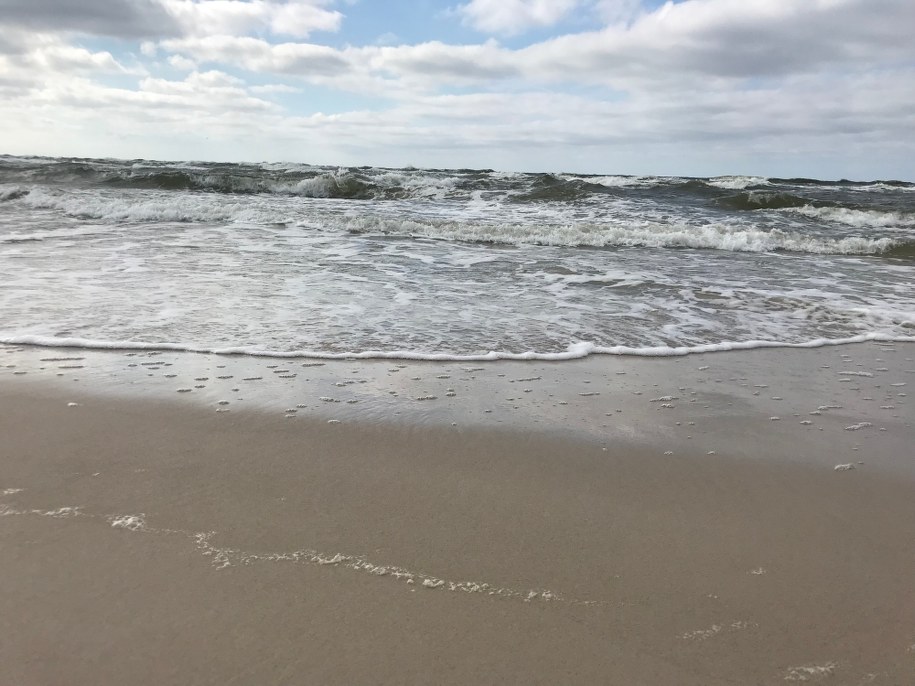 We Włoszech jest około 100 tysięcy poszukiwaczy skarbów /Monika Kamińska /RMF FM