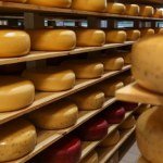 We Włoszech kradną sery. Łupem złodziei padło 200 form parmezanu