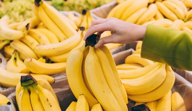 We Włoszech rośnie więcej bananów. Wszystko przez zmiany klimatu