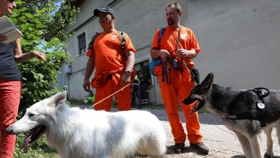 We Włoszech zaginęła autystyczna 12-latka. "Nie ustąpimy, aż ją znajdziemy: żywą lub martwą"