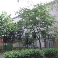 We Wrocławiu wrona terroryzowała przedszkolaków
