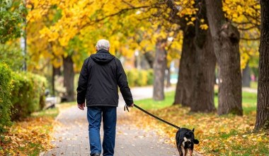 We Wrocławiu zaginął mężczyzna. Jego pies wskazał drogę