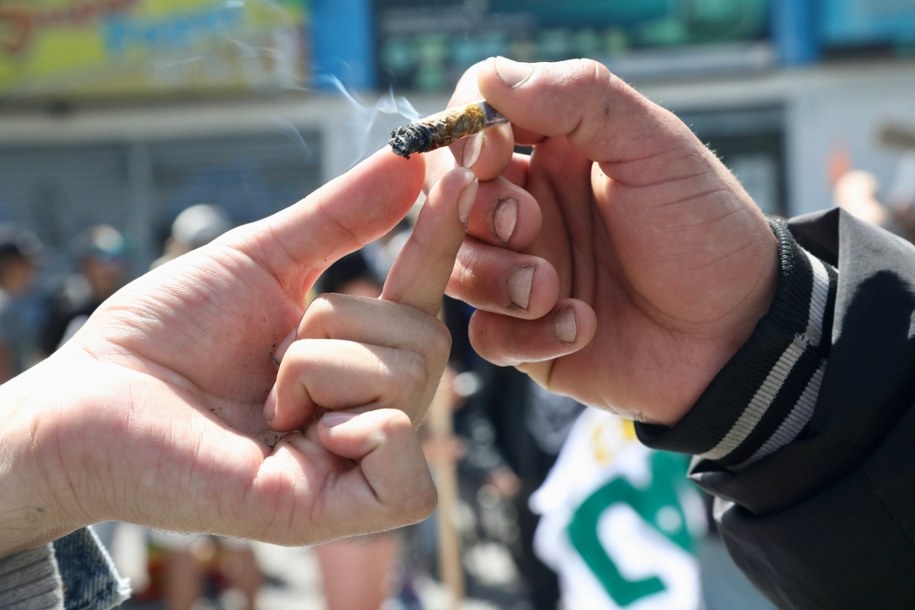 We wrześniu do Sejmu trafi poselski projekt ustawy dotyczący depenalizacji marihuany /	Gianna Benalcazar /PAP/EPA