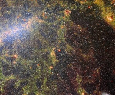 Webb wykonał oszałamiające zdjęcie galaktyki pełnej gwiazd 