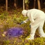 Wędkarz znalazł ludzką czaszkę. Policja odkryła kolejne kości