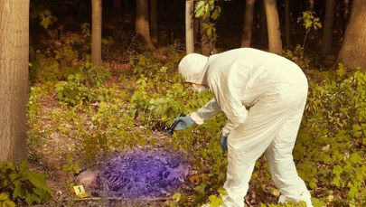 Wędkarz znalazł ludzką czaszkę. Policja odkryła kolejne kości