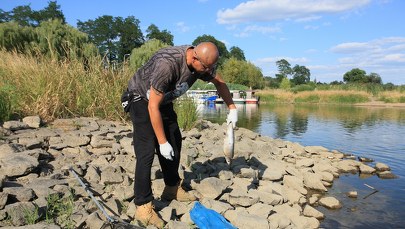 Wędkarze mają rany na rękach. Rękawice były przeżarte. Wstrząsająca relacja szefowej PZW 