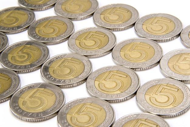 Według analityków złoty może być pod presją, fot. Marek Jaśkiewicz /Agencja SE/East News