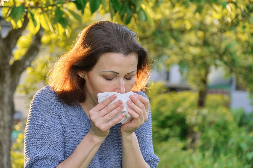 Według badaczy Epidemiologii Chorób Alergicznych w Polsce alergiczny nieżyt nosa jest w blisko 16 proc.  wywoływany przez pyłki traw /123RF/PICSEL