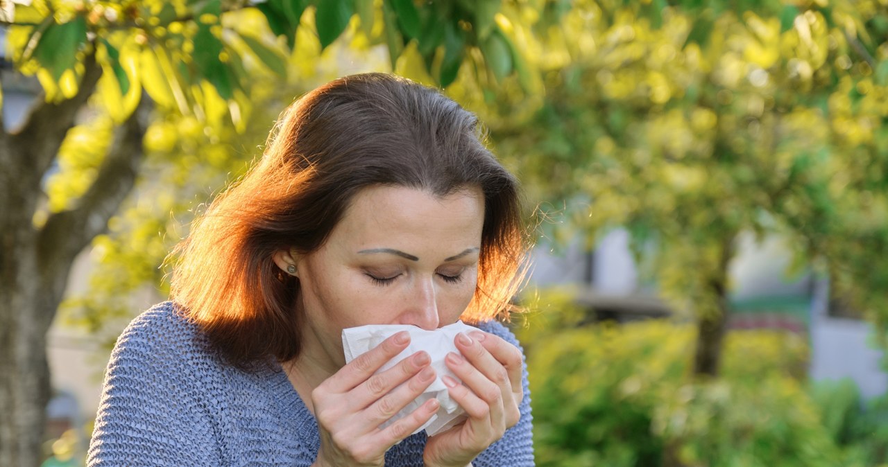 Według badaczy Epidemiologii Chorób Alergicznych w Polsce alergiczny nieżyt nosa jest w blisko 16 proc.  wywoływany przez pyłki traw /123RF/PICSEL