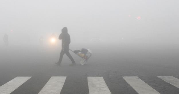 Według NIK przepisy pozwalające ustanawiać strefy czystego transportu są martwe /AFP