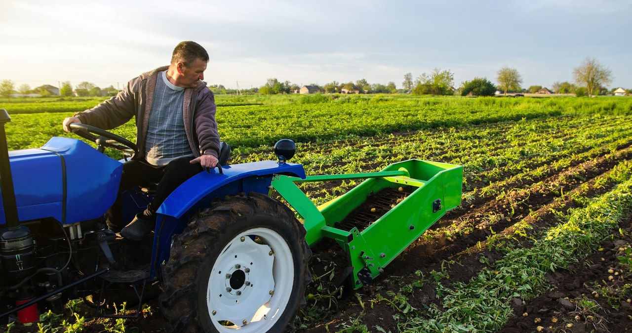 Według nowych przepisów warunkiem otrzymania pomocy jest wykazanie sprzedaży produktów rolnych z gospodarstwa rolnego od dnia 1 stycznia 2021 r. do dnia 30 września 2022 r. w wysokości co najmniej 5000 zł brutto /123RF/PICSEL