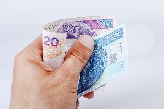 Według Polaków, banknoty są jednym z największych siedlisk bakterii /&copy;123RF/PICSEL