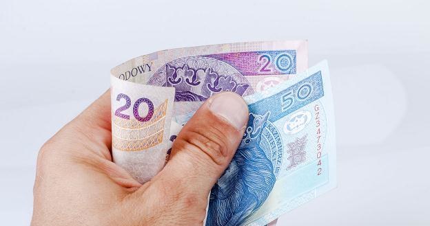 Według Polaków, banknoty są jednym z największych siedlisk bakterii /&copy;123RF/PICSEL