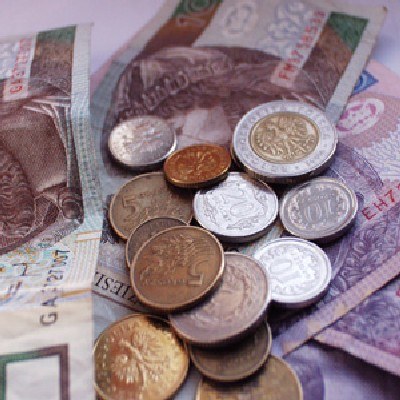 Według prognoz za miesiąc kurs euro będzie wynosić ok 4,22 zł /INTERIA.PL