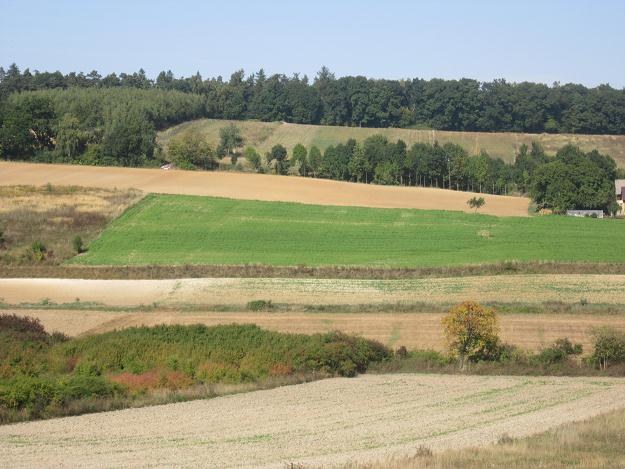 Według stanu na koniec 2011 r. w zasobie WRSP pozostaje ok. 1,96 mln hektarów /INTERIA.PL