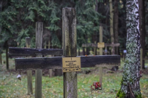 Według szacunków, w dołach śmierci w Kuropatach może spoczywać nawet 250 tysięcy ofiar stalinowskich represji /Wojciech Pacewicz /PAP