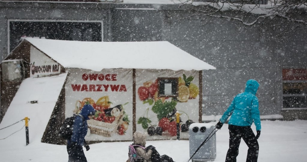 Według wstępnych prognoz El Niño wpłynie na pogodę w zimie. W Polsce doświadczymy zmiennych warunków /Krzysztof Zatycki/NurPhoto via Getty Images /Getty Images