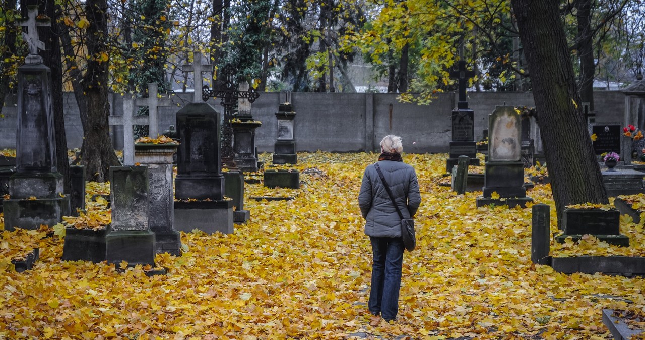 Według wstępnych prognoz pogody na Wszystkich Świętych i Zaduszki możemy się spodziewać spokojniejszej pogody, choć w wielu miejscach może padać deszcz /fotokon/123rf /