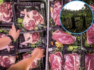 Weganie mają rację. Nawet ekologiczne mięso fatalnie wpływa na klimat