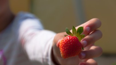 Weganie niemal zagłodzili dziecko. Sąd skazał ich na więzienie